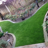 Artificial Grass Anaheim, California Gardeners, Backyards