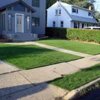 Artificial Grass Carpet La Palma, California City Landscape, Landscaping Ideas For Front Yard