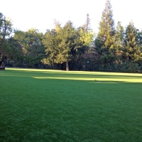 Artificial Grass Carpet Trabuco Canyon, California Landscaping, Parks