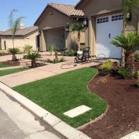 Artificial Grass Laguna Niguel, California Landscape Ideas, Front Yard Landscaping Ideas