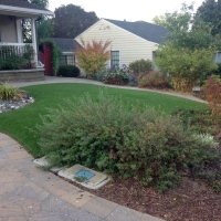 Artificial Grass North Tustin, California Landscaping, Small Front Yard Landscaping