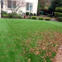 Artificial Grass San Juan Capistrano, California Landscape Ideas, Backyard Landscape Ideas