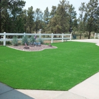 Artificial Lawn Huntington Beach, California Landscaping Business, Front Yard Landscaping