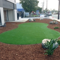 Artificial Turf Cost Lake Forest, California Home And Garden, Commercial Landscape