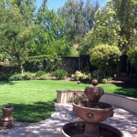 Artificial Turf Cost San Clemente, California Lawn And Garden, Backyard Ideas