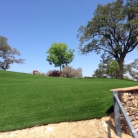 Artificial Turf Ladera Ranch, California Backyard Playground, Front Yard Design