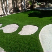 Artificial Turf Laguna Woods, California Landscaping Business, Backyard Landscaping