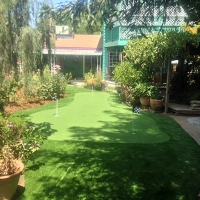 Fake Grass Carpet Costa Mesa, California Design Ideas