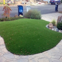 Fake Grass Carpet Rossmoor, California Landscape Photos