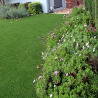 Fake Lawn Buena Park, California Lawn And Garden, Front Yard Ideas