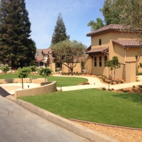 Fake Lawn San Clemente, California Lawn And Garden, Front Yard Landscaping