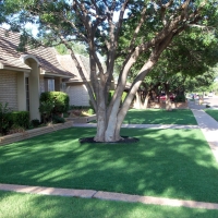 Fake Lawn San Clemente, California Roof Top, Front Yard Landscape Ideas