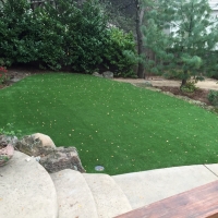 Fake Turf Laguna Woods, California Lawn And Garden, Backyard Designs