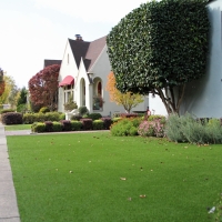 Fake Turf Orange, California Landscape Rock, Front Yard