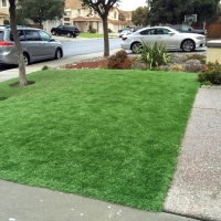 Faux Grass Dana Point, California Roof Top, Front Yard Landscaping