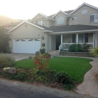 Faux Grass Laguna Hills, California Home And Garden, Front Yard Ideas