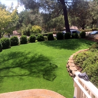 Grass Carpet Buena Park, California Landscape Design, Backyard Landscaping