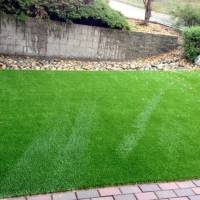 Grass Carpet Los Alamitos, California Gardeners, Front Yard Design