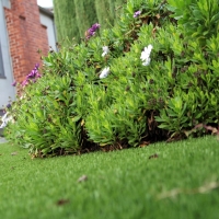 Grass Turf La Palma, California Lawn And Landscape, Landscaping Ideas For Front Yard