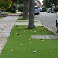 Grass Turf Rossmoor, California Roof Top, Front Yard Ideas