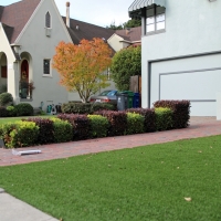 Grass Turf Stanton, California Landscape Ideas, Front Yard