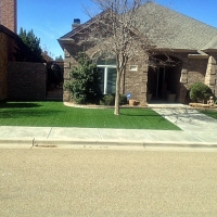 Green Lawn Fullerton, California Landscaping, Front Yard Ideas