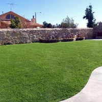 Green Lawn Seal Beach, California Backyard Deck Ideas, Beautiful Backyards