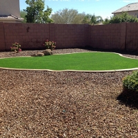 Outdoor Carpet La Habra, California Gardeners, Backyard