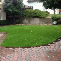 Outdoor Carpet Seal Beach, California City Landscape, Front Yard