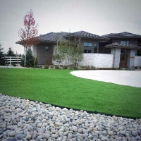 Plastic Grass Ladera Ranch, California Backyard Playground, Front Yard Landscape Ideas