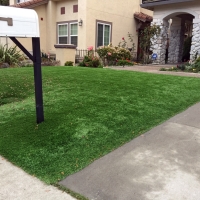 Plastic Grass Los Alamitos, California Landscape Photos, Front Yard Ideas