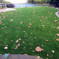 Synthetic Grass Cost Placentia, California Landscape Ideas, Front Yard