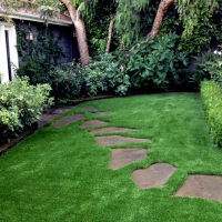 Synthetic Lawn Costa Mesa, California Landscaping, Backyard Landscaping