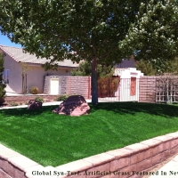 Synthetic Turf Brea, California Backyard Playground, Landscaping Ideas For Front Yard