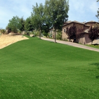 Synthetic Turf Coto De Caza, California Landscape Ideas, Front Yard Landscaping