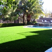 Synthetic Turf Supplier Anaheim, California Rooftop, Backyard Landscape Ideas