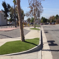 Synthetic Turf Supplier Fountain Valley, California Home And Garden, Commercial Landscape