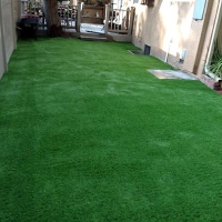 Turf Grass Placentia, California Rooftop, Backyard Garden Ideas