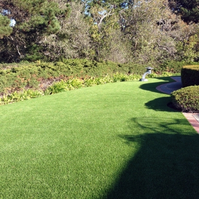 Artificial Grass Carpet Laguna Niguel, California Rooftop, Landscaping Ideas For Front Yard