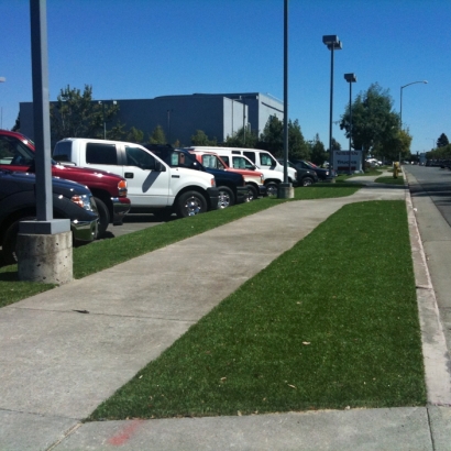 Artificial Grass Installation La Palma, California Landscape Rock, Commercial Landscape