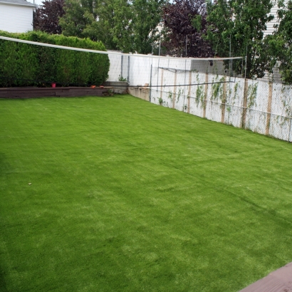 Artificial Grass Placentia, California Roof Top, Backyard