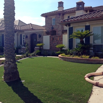 Artificial Turf Cost Aliso Viejo, California Design Ideas, Small Front Yard Landscaping