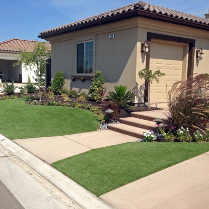 Artificial Turf Cost Irvine, California Roof Top, Front Yard Ideas