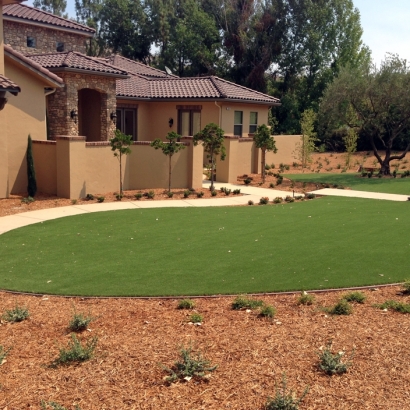 Artificial Turf Cost La Palma, California Garden Ideas, Front Yard Landscape Ideas