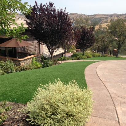 Artificial Turf Installation Placentia, California Backyard Deck Ideas, Landscaping Ideas For Front Yard