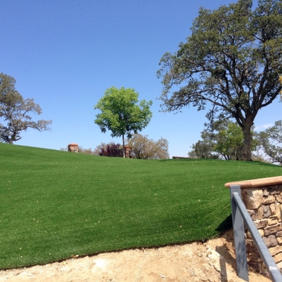 Artificial Turf Ladera Ranch, California Backyard Playground, Front Yard Design