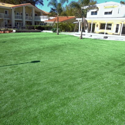 Best Artificial Grass Laguna Woods, California Landscaping, Backyard Pool