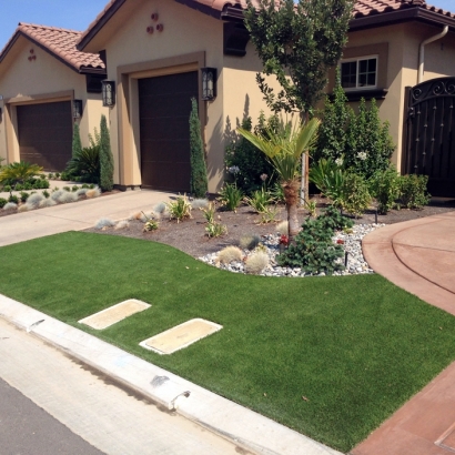 Best Artificial Grass Placentia, California Landscape Photos, Front Yard Ideas