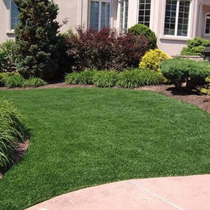 Fake Grass Laguna Hills, California Landscape Ideas, Front Yard Landscaping