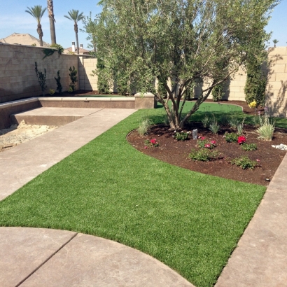 Faux Grass Las Flores, California Landscaping, Small Front Yard Landscaping